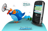 Twitter SMS
